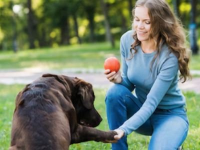 Gera Joy on Treetops Pet park